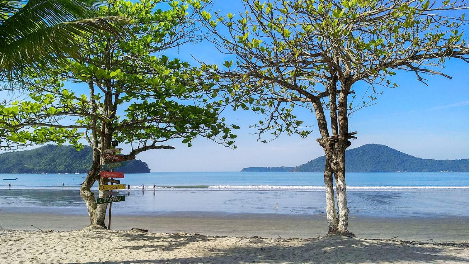 Ap Em Frente A Em Ubatuba: Pereque Acu. Apartamento